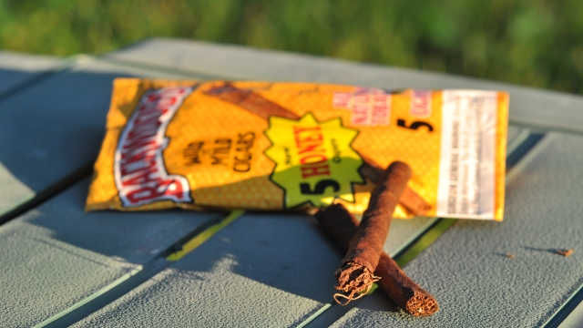 A Smokin’ Adventure: Exploring the World of Backwoods Cigars