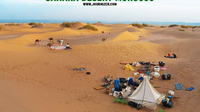 Mysterious Wonders: Unleashing the Enigma of the Sahara Desert