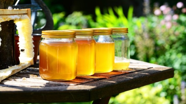 Mad Honey: Exploring the Enigmatic Nectar of the Gods