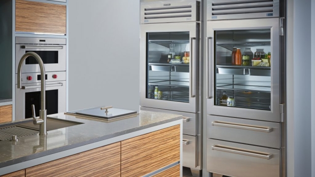 Chilling Perfection: Unveiling the Power of Sub Zero Appliances and Freezers