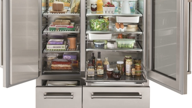 Frozen Marvels: Exploring the Sub Zero Appliances and Freezers