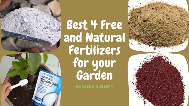 Nourishing Nature: Maximizing Growth with Organic Soil and Fertilizer