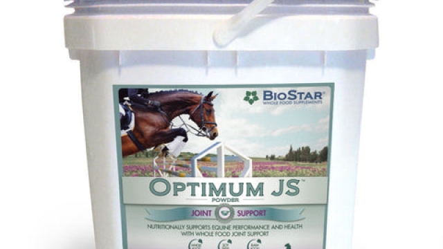 Boost Your Horse’s Health: Unveiling the Power of Equine Supplements