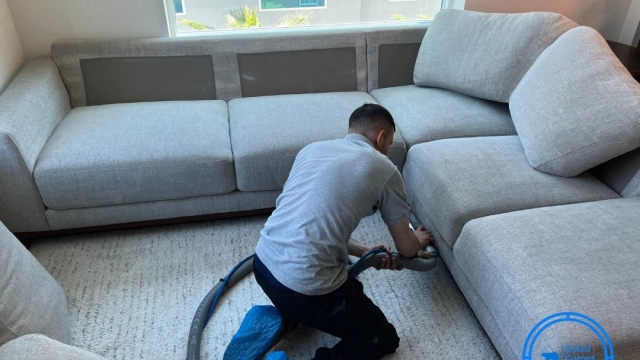 Revitalize Your Space: The Ultimate Guide to Carpet and Upholstery Cleaning!