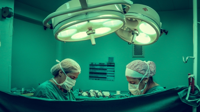 The Science of Cellular Health Explained
