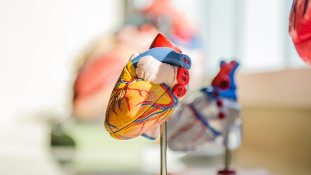 Emerging Technologies in Heart Monitoring