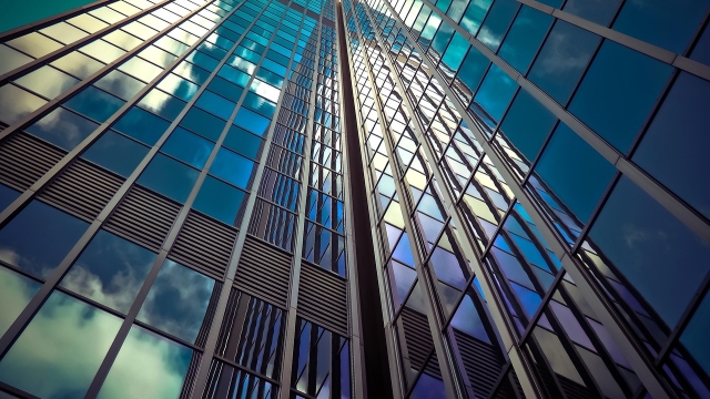 The Importance of Professional Window Upkeep