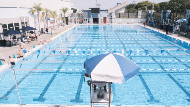 Understanding the Different Types of Residential Pools