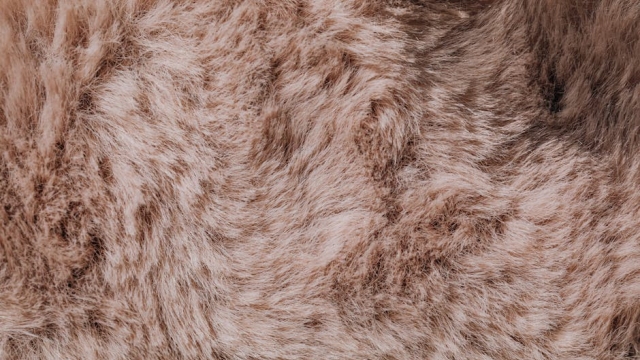 The Benefits of Eco Friendly Gym Wear Why Sustainability Matters