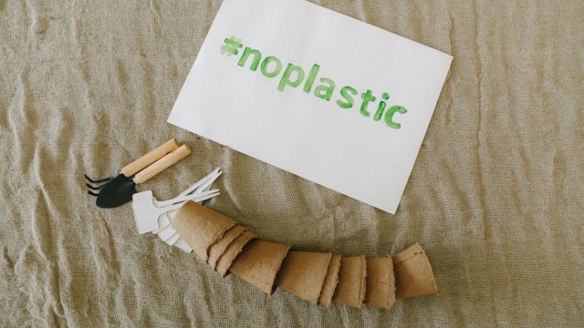 Understanding Eco Friendly Film Solutions