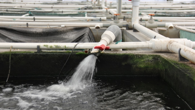 Best Practices for Sustainable Aquaculture Best Practices for Sustainable Aquaculture